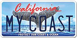 Introducing The NEW California Whale Tail License Plate